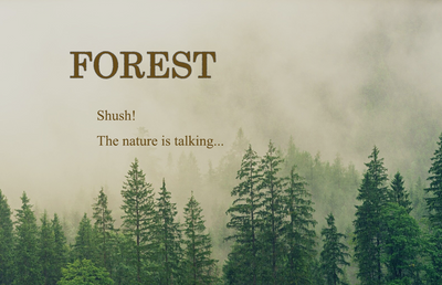 Come Home to the Forest