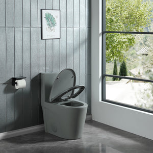 Light Grey One-Piece Ceramic Toilet 1.1/1.6 GPF Dual Flush with Soft Close Seat TONA Bathroom Furniture