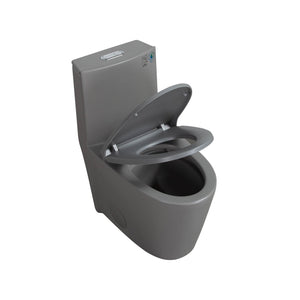 Light Grey One-Piece Ceramic Toilet 1.1/1.6 GPF Dual Flush with Soft Close Seat TONA Bathroom Furniture