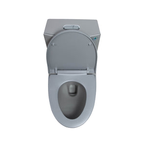 Light Grey One-Piece Ceramic Toilet 1.1/1.6 GPF Dual Flush with Soft Close Seat TONA Bathroom Furniture