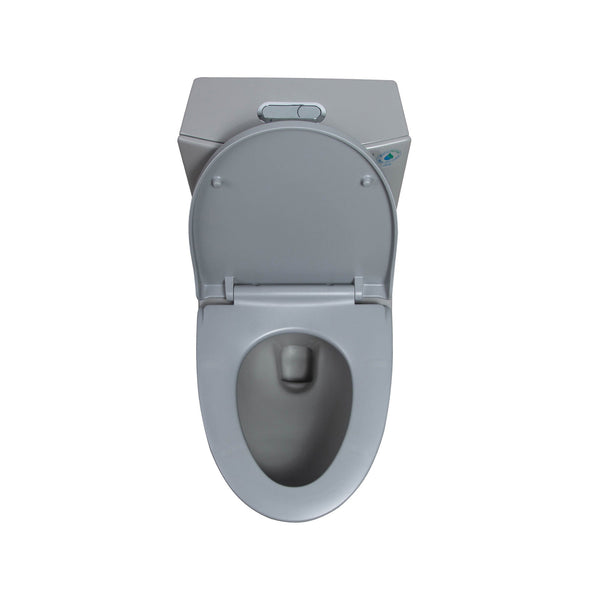 Light Grey One-Piece Ceramic Toilet 1.1/1.6 GPF Dual Flush with Soft Close Seat TONA Bathroom Furniture