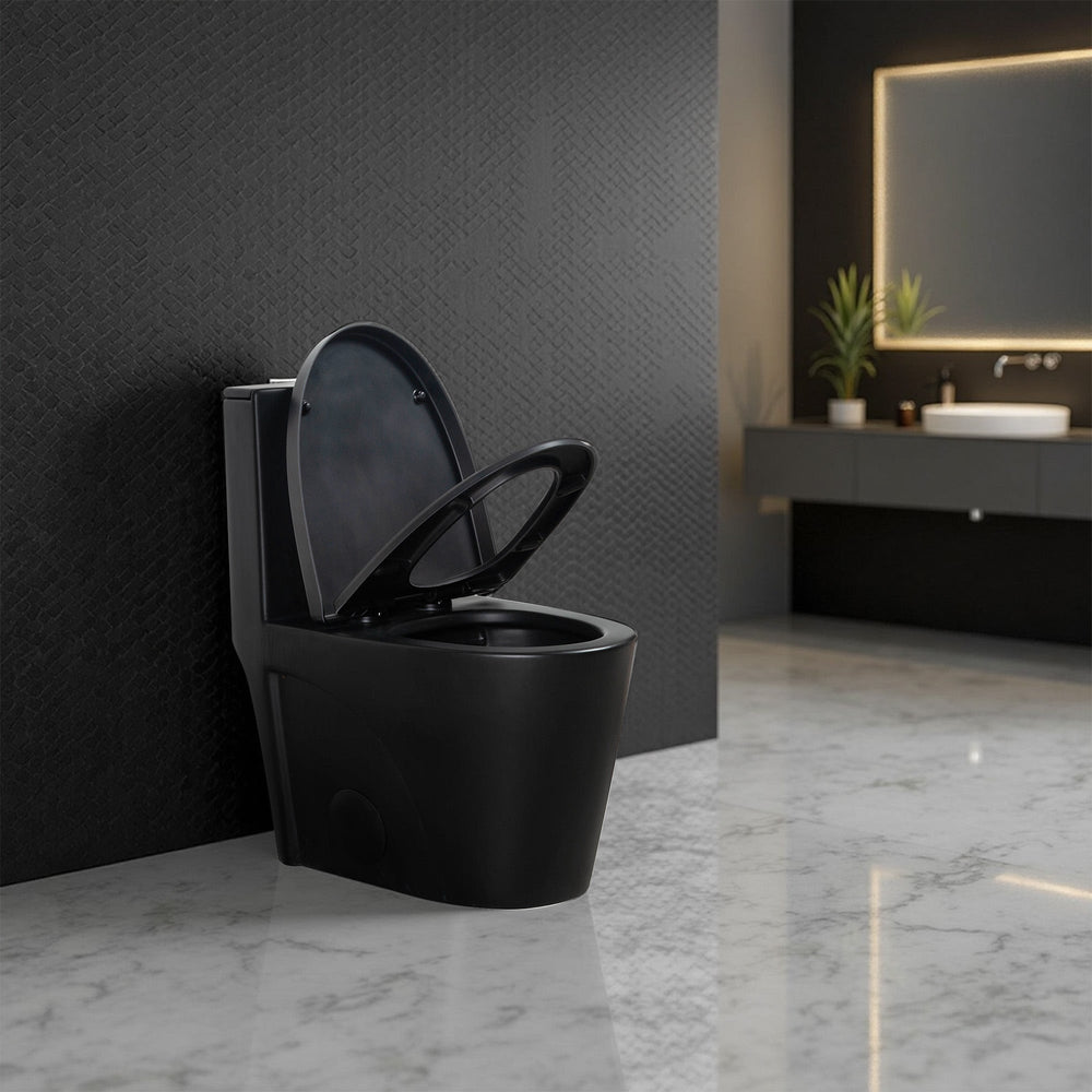 Matte Black One-Piece Ceramic Toilet 1.1/1.6 GPF Dual Flush with Soft Close Seat TONA Bathroom Furniture