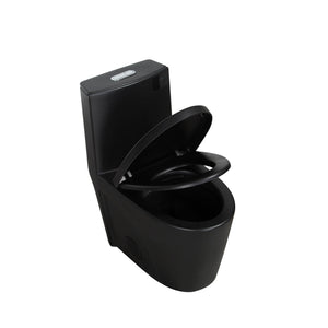Matte Black One-Piece Ceramic Toilet 1.1/1.6 GPF Dual Flush with Soft Close Seat TONA Bathroom Furniture