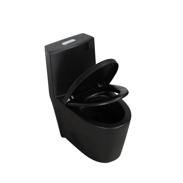 Matte Black One-Piece Ceramic Toilet 1.1/1.6 GPF Dual Flush with Soft Close Seat TONA Bathroom Furniture