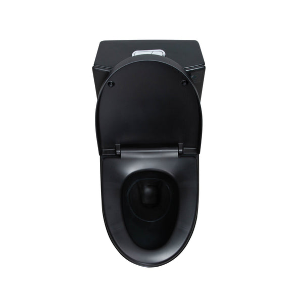 Matte Black One-Piece Ceramic Toilet 1.1/1.6 GPF Dual Flush with Soft Close Seat TONA Bathroom Furniture