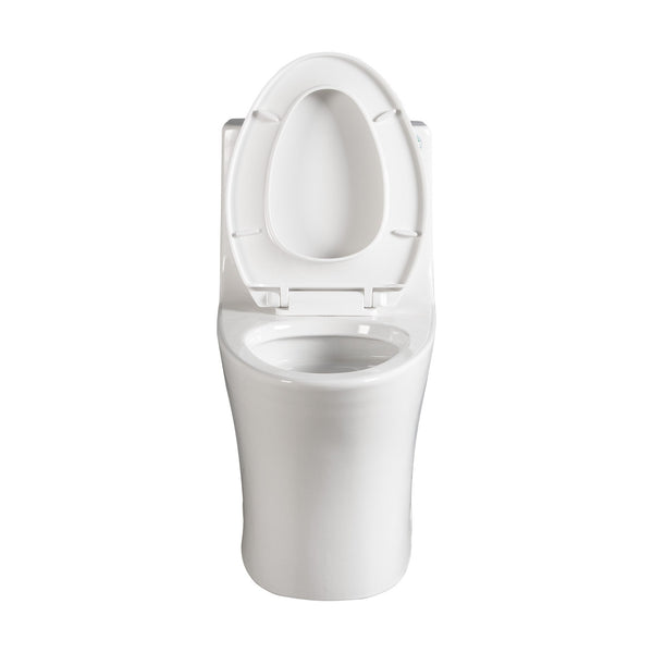 Glossy White Siphonic 1.6 GPF Dual Flush Ceramic One-Piece Toilet with Soft Close Seat TONA Bathroom Furniture