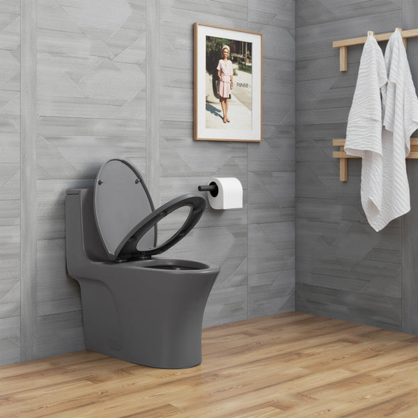 Light Grey Siphonic 1.6 GPF Dual Flush Ceramic One-Piece Toilet with Soft Close Seat TONA Bathroom Furniture