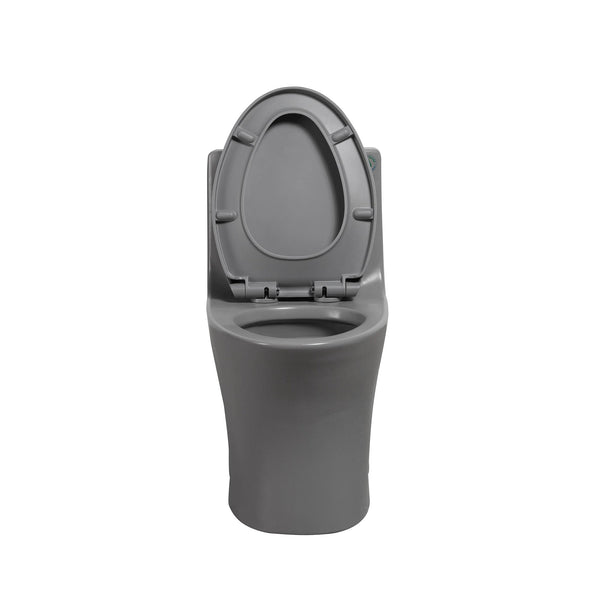 Light Grey Siphonic 1.6 GPF Dual Flush Ceramic One-Piece Toilet with Soft Close Seat TONA Bathroom Furniture