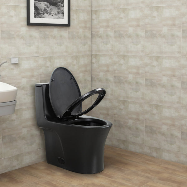 Matte Black Siphonic 1.6 GPF Dual Flush Ceramic One-Piece Toilet with Soft Close Seat TONA Bathroom Furniture