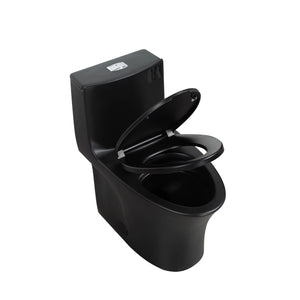 Matte Black Siphonic 1.6 GPF Dual Flush Ceramic One-Piece Toilet with Soft Close Seat TONA Bathroom Furniture