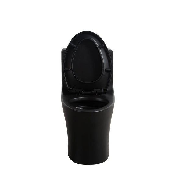 Matte Black Siphonic 1.6 GPF Dual Flush Ceramic One-Piece Toilet with Soft Close Seat TONA Bathroom Furniture